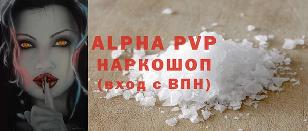 стафф Алексин