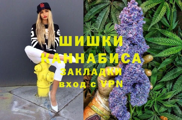 стафф Алексин