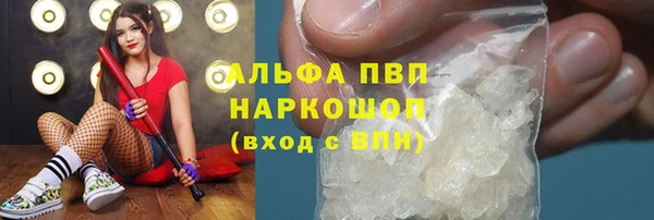 СК Гатчина