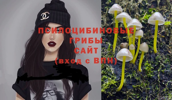стафф Алексин