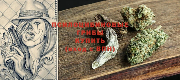 стафф Алексин