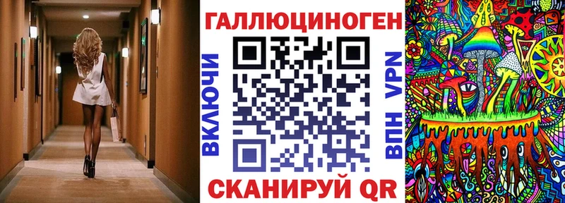 дарк нет клад  Карачаевск  Галлюциногенные грибы ЛСД 